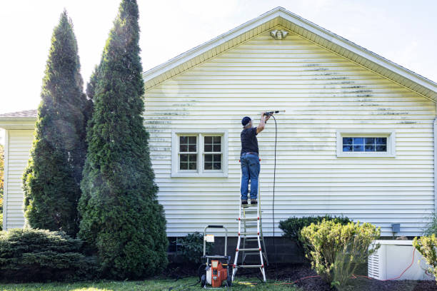 Professional Pressure Washing Services in Wayne, WV